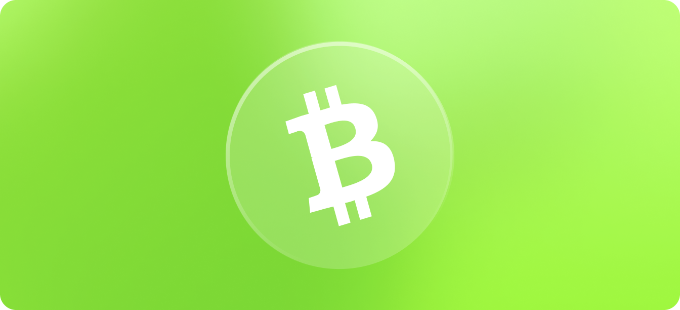 https://coinsbuy.com/app/uploads/2020/05/Accept-Bitcoin-Cash-Payments-BCH.png